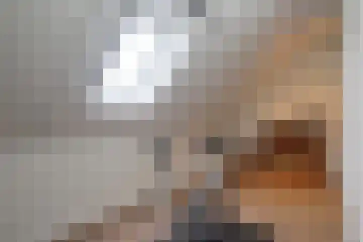 Knoe 31 Wervershoof thumbnail 41