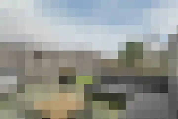 Knoe 31 Wervershoof thumbnail 46