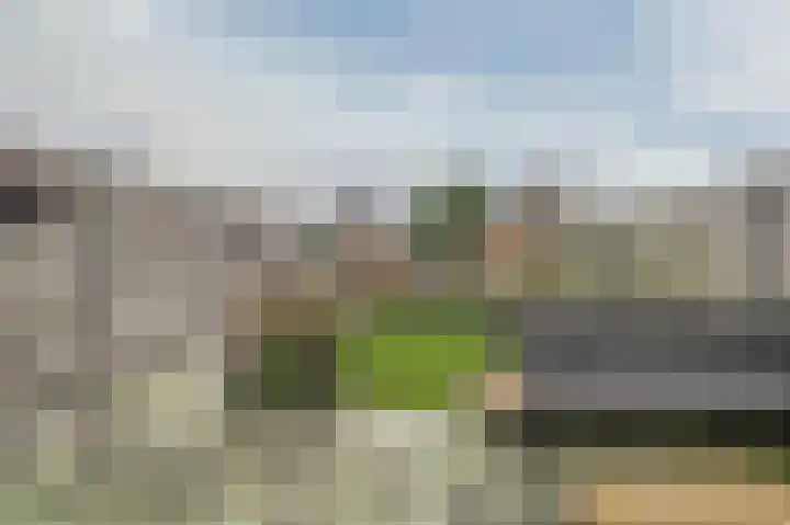 Knoe 31 Wervershoof thumbnail 48