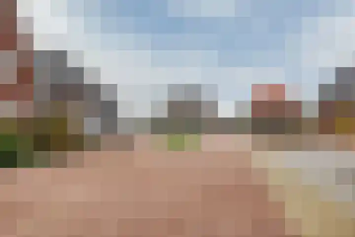 Knoe 31 Wervershoof thumbnail 58