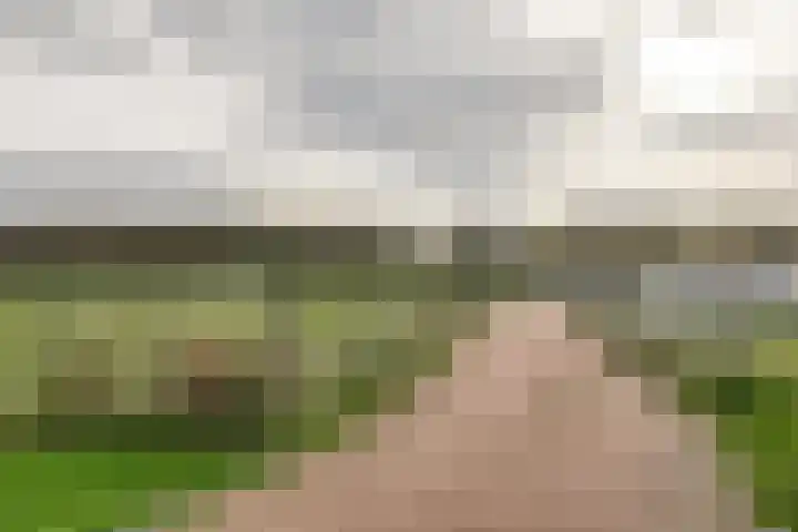 Knoe 31 Wervershoof thumbnail 59