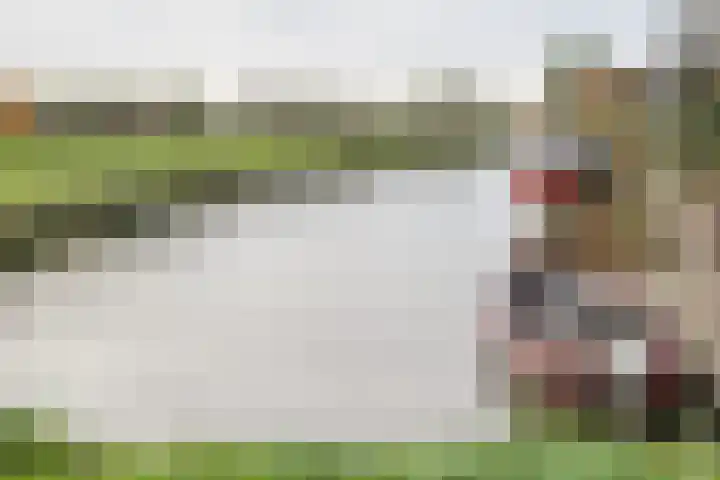 Knoe 31 Wervershoof thumbnail 60