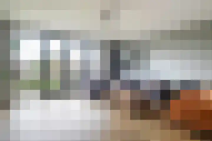 Knoe 31 Wervershoof thumbnail 9