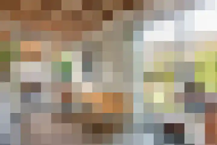 Knoefstraat 15 Tubbergen thumbnail 13