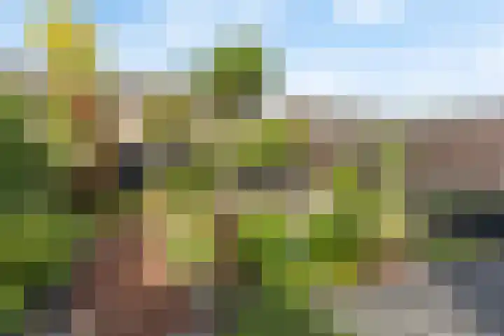 Knoefstraat 15 Tubbergen thumbnail 21