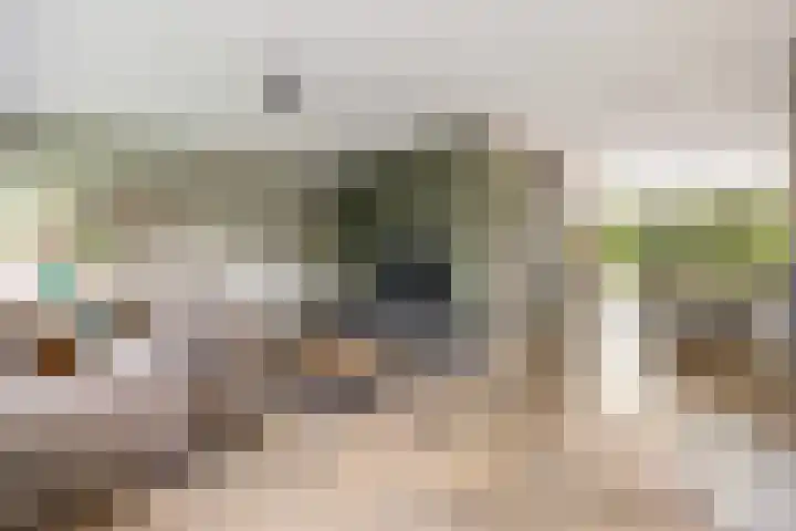 Knoefstraat 21 Tubbergen thumbnail 7