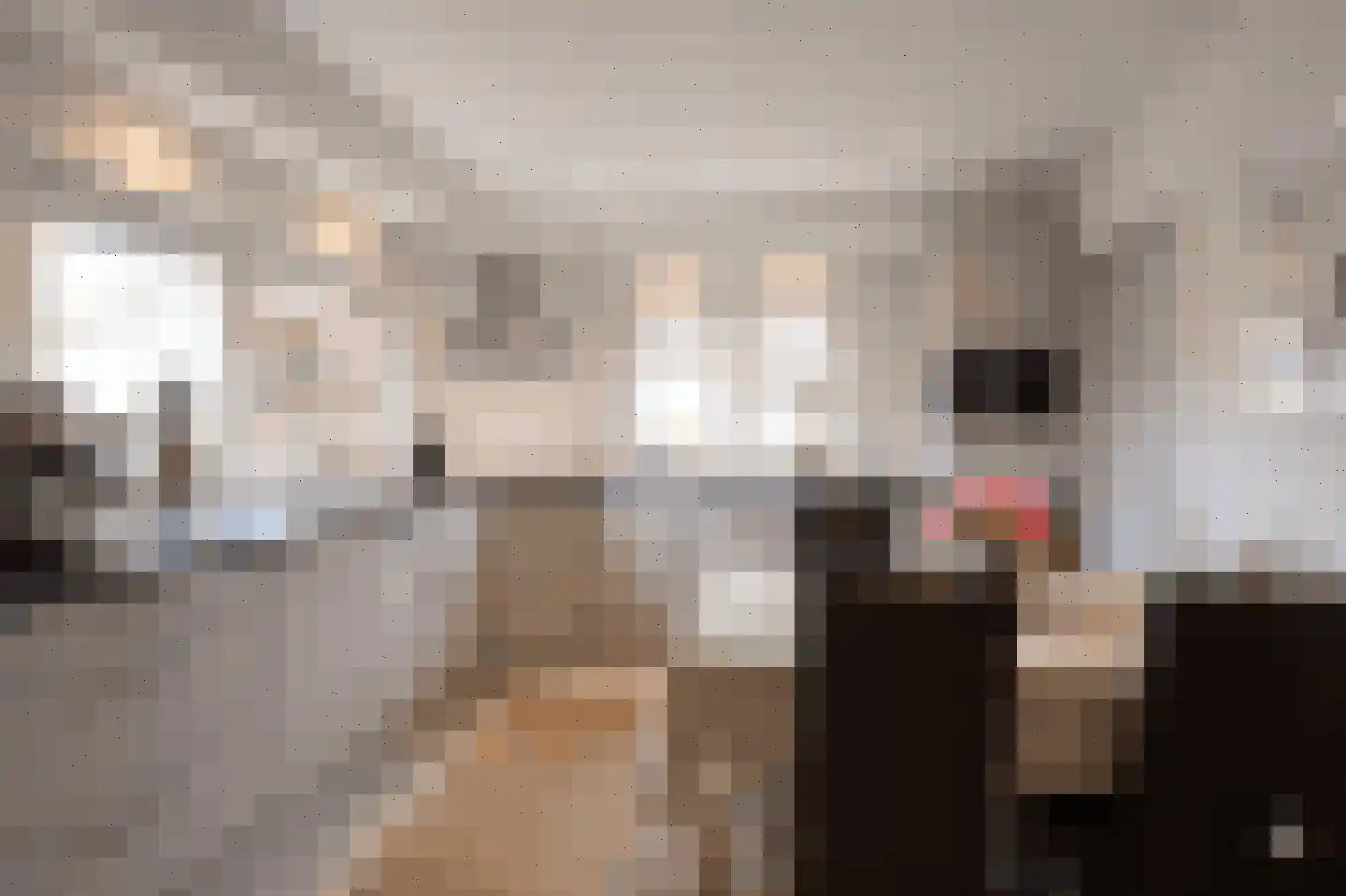 Knoevenoordstraat 2 Brummen thumbnail 10