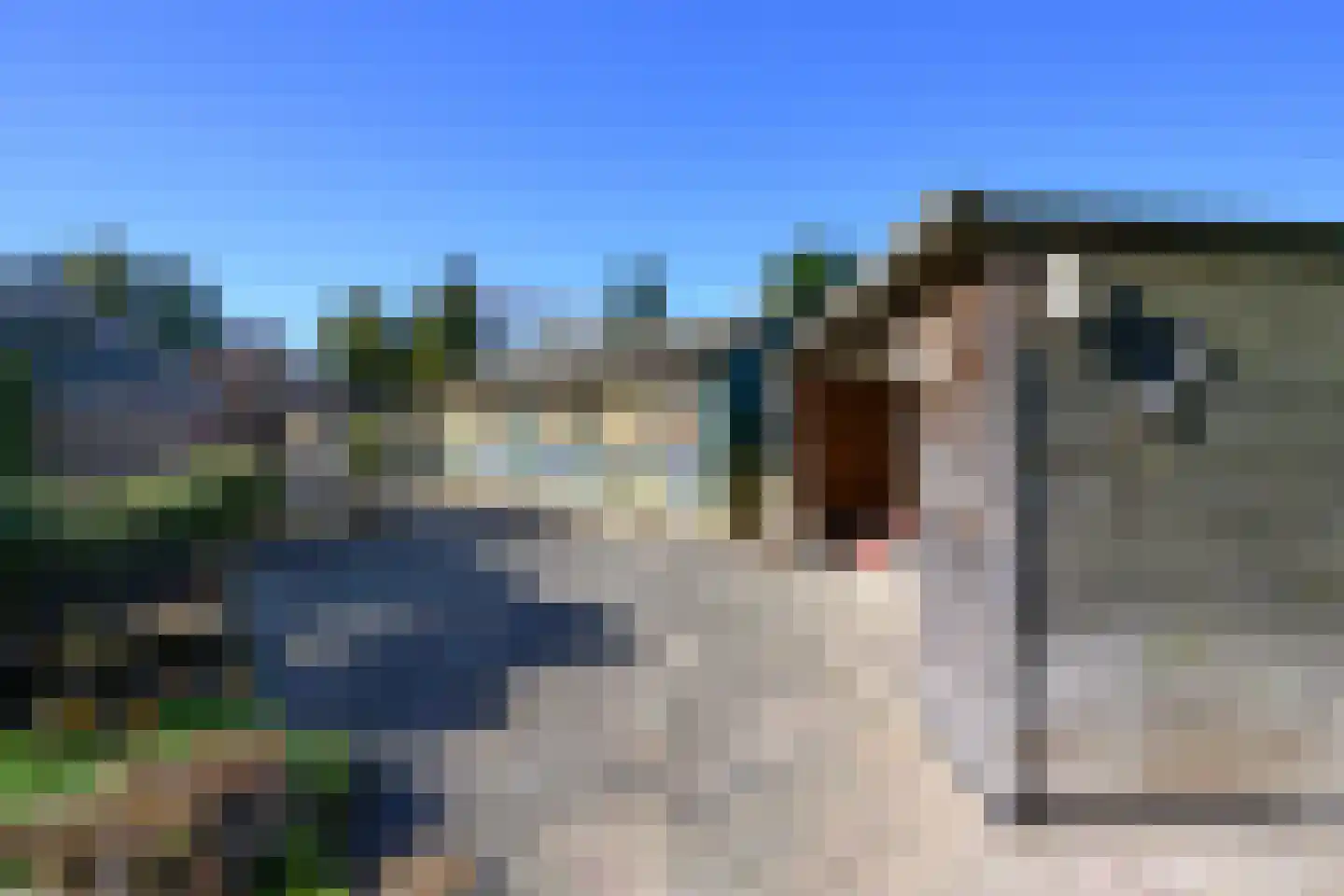 Knoevenoordstraat 2 Brummen thumbnail 21