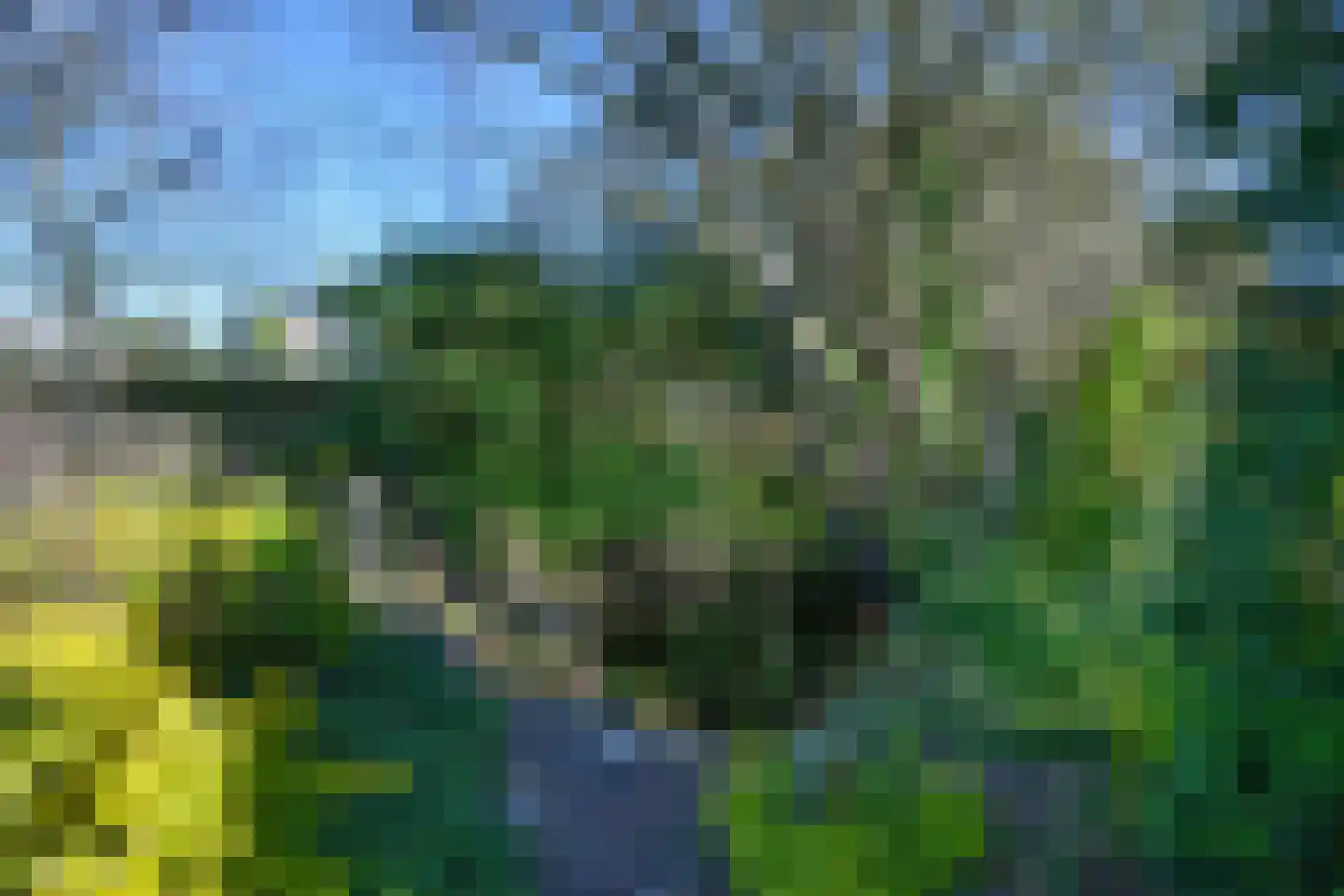 Knoevenoordstraat 2 Brummen thumbnail 23