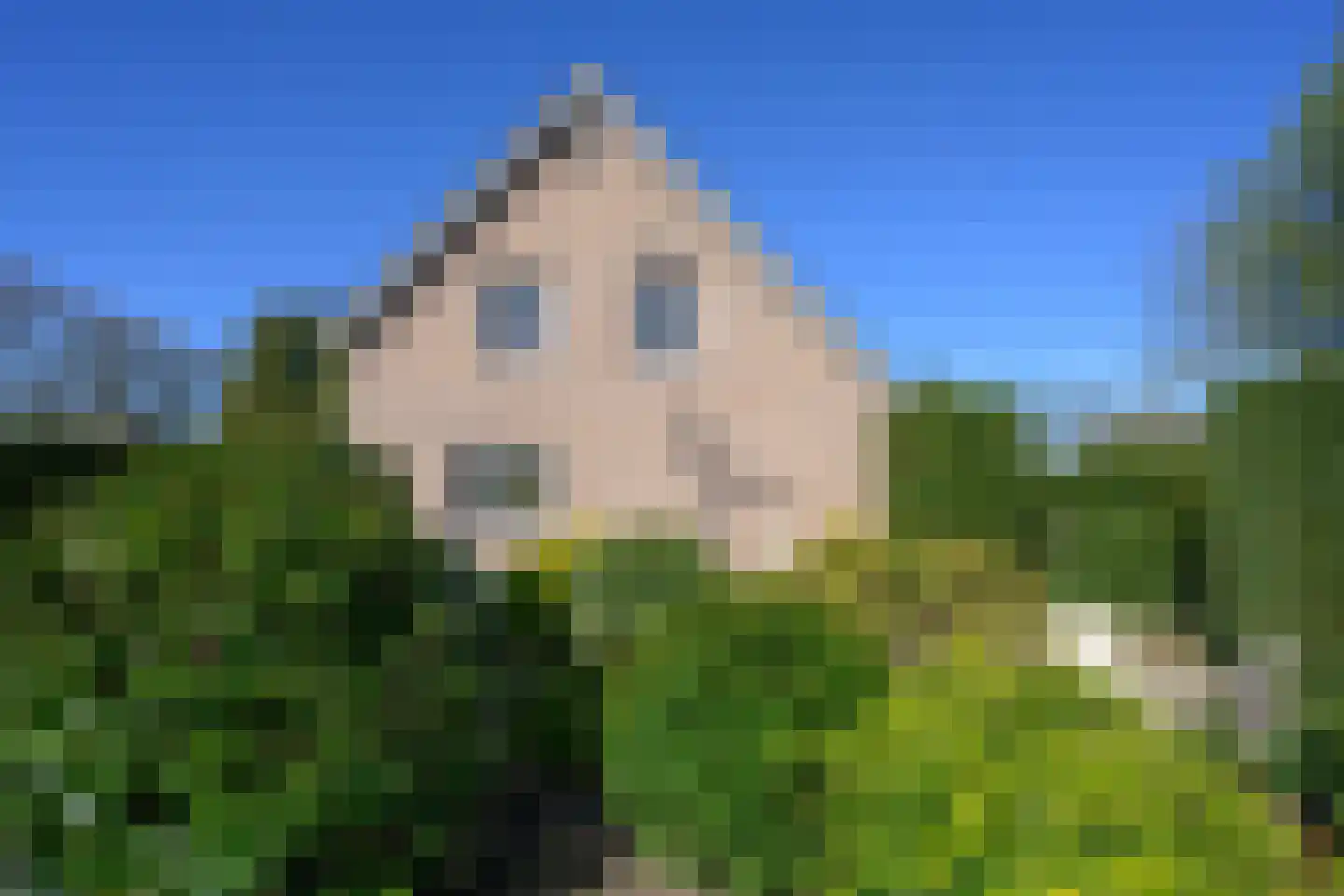 Knoevenoordstraat 2 Brummen thumbnail 31