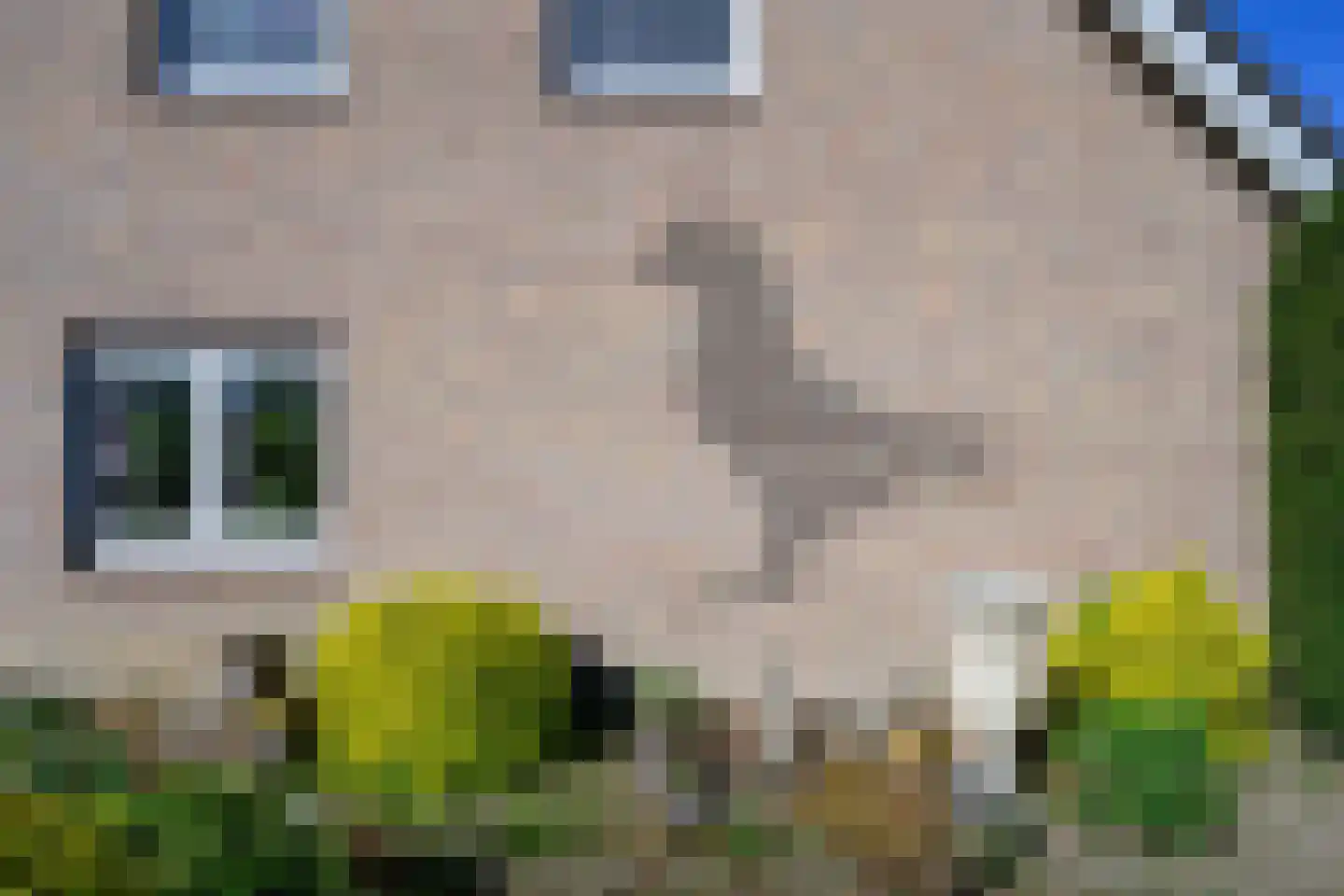 Knoevenoordstraat 2 Brummen thumbnail 32