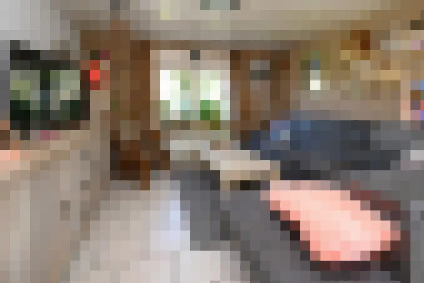 Knoevenoordstraat 2 Brummen thumbnail 5