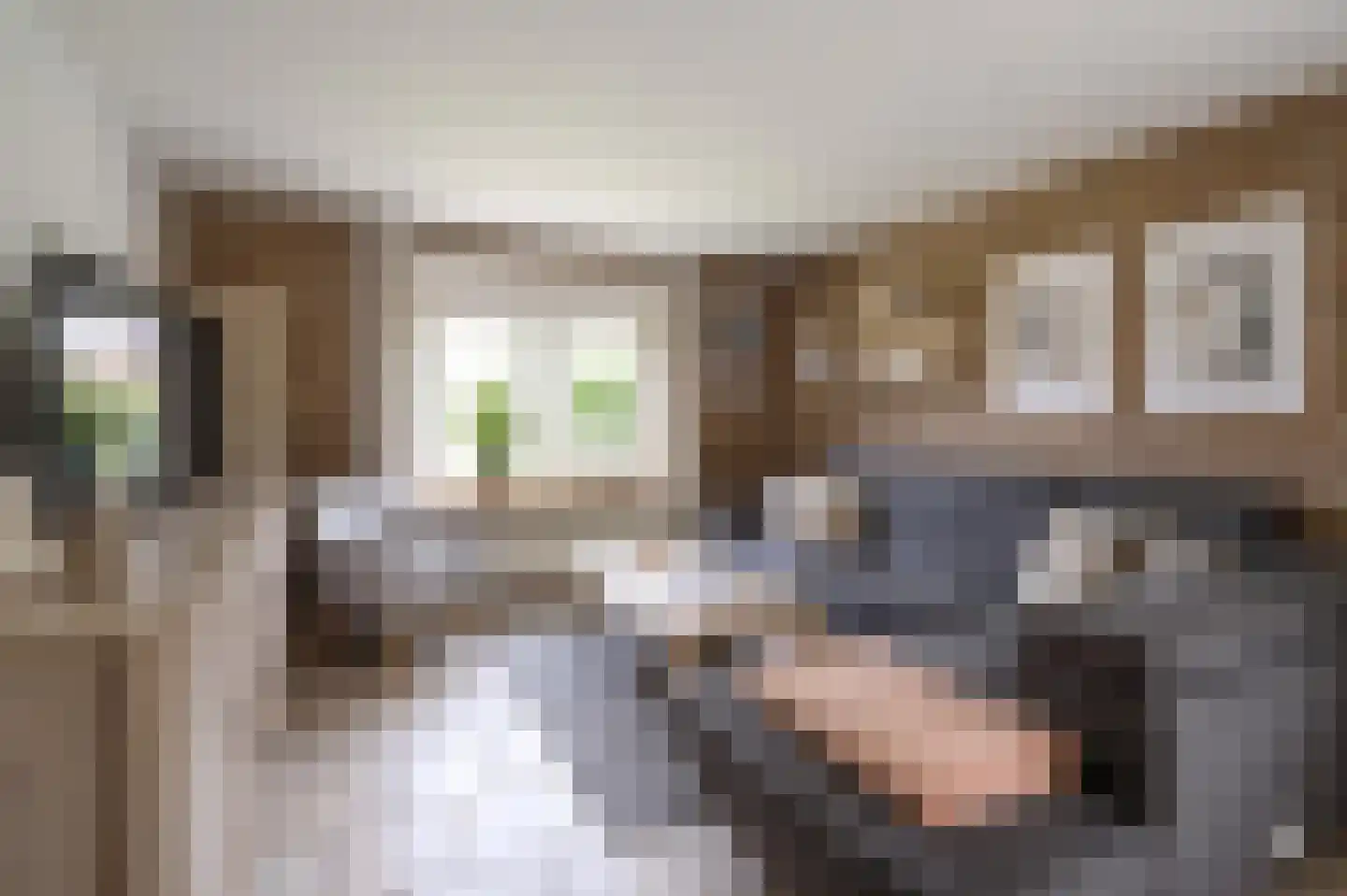 Knoevenoordstraat 2 Brummen thumbnail 6