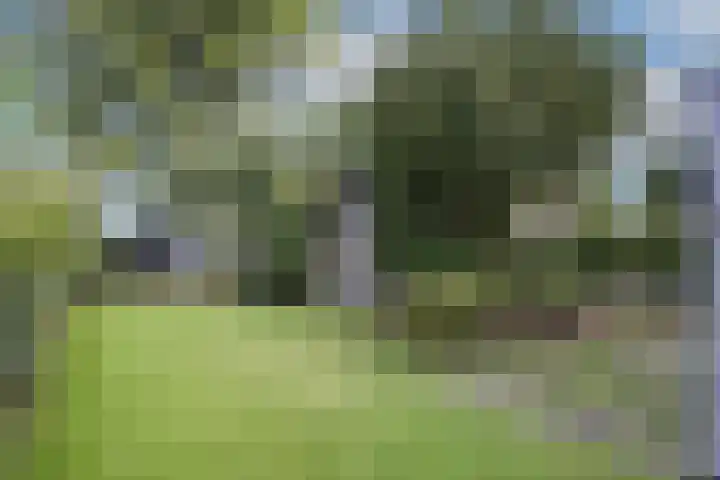 Knoevenoordstraat 20 A Brummen thumbnail 22