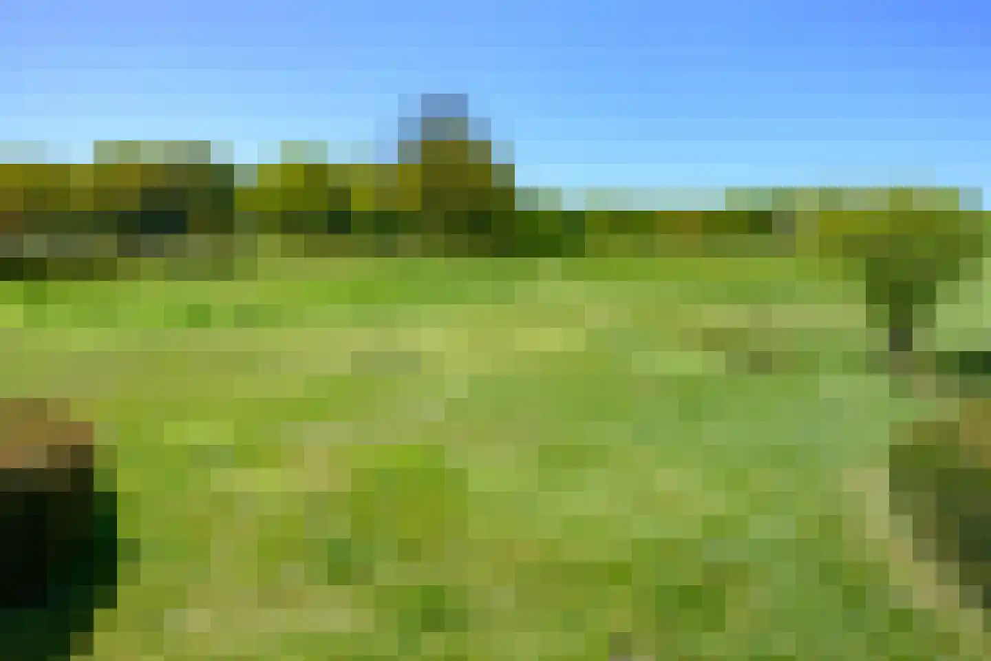 Knoevenoordstraat 59 Brummen thumbnail 30