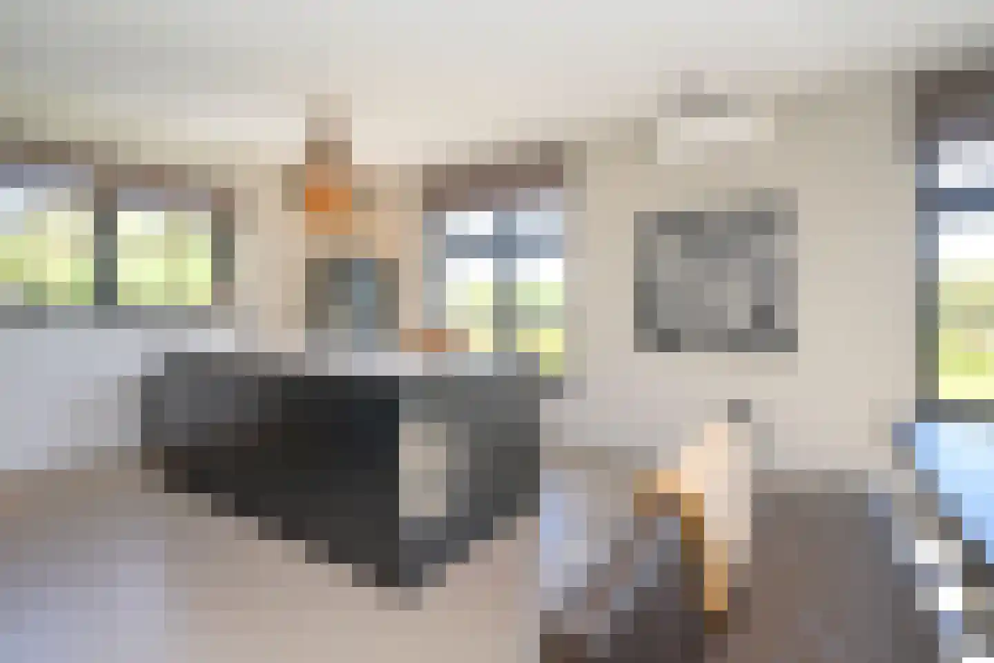 Knoevenoordstraat 59 Brummen thumbnail 39