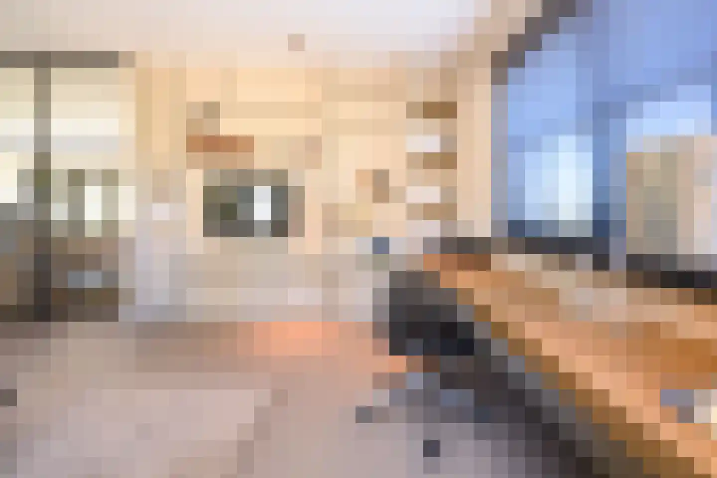 Knoevenoordstraat 59 Brummen thumbnail 46