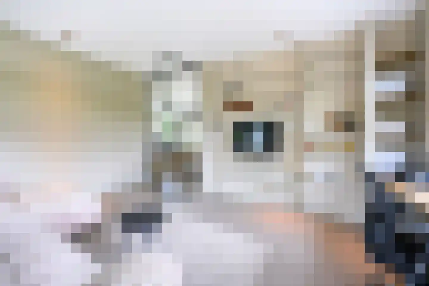 Knoevenoordstraat 59 Brummen thumbnail 47