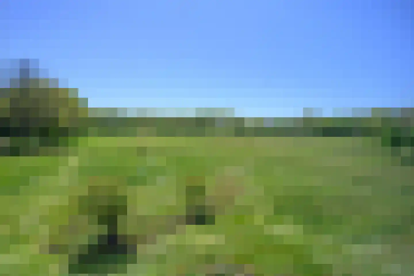 Knoevenoordstraat 59 Brummen thumbnail 68