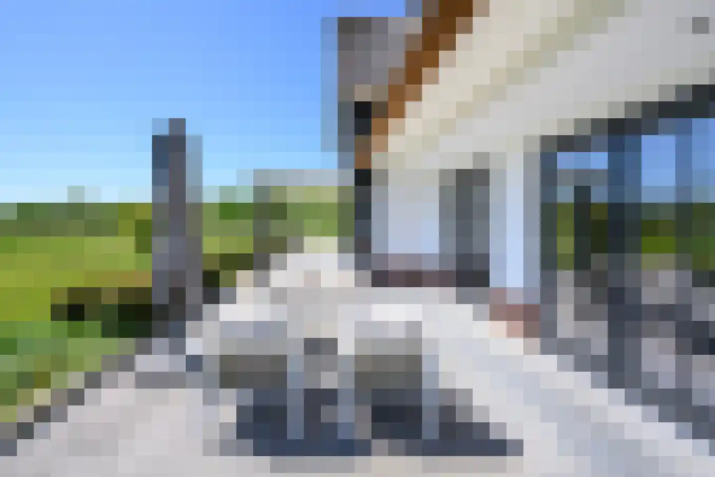 Knoevenoordstraat 59 Brummen thumbnail 69