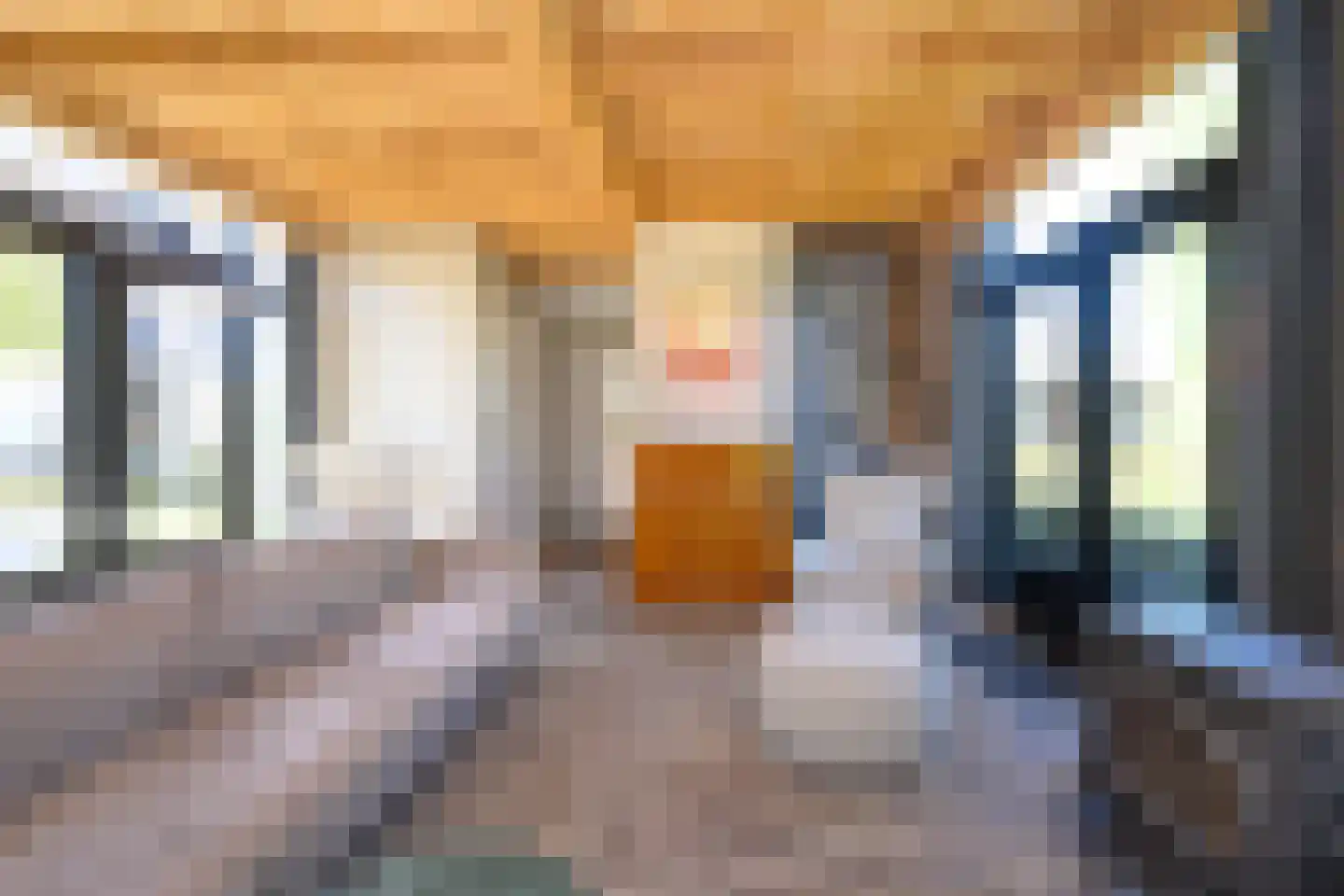 Knoevenoordstraat 59 Brummen thumbnail 72