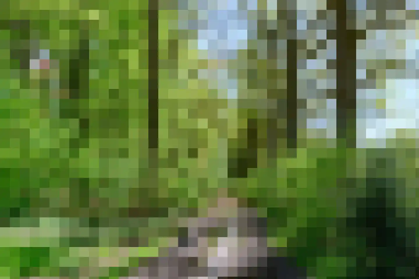 Knoevenoordstraat 59 Brummen thumbnail 80