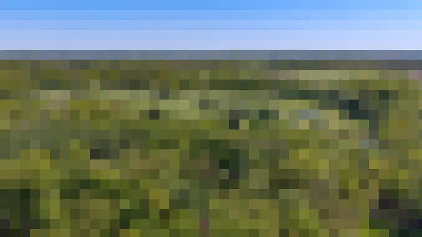 Knoevenoordstraat 59 Brummen thumbnail 81