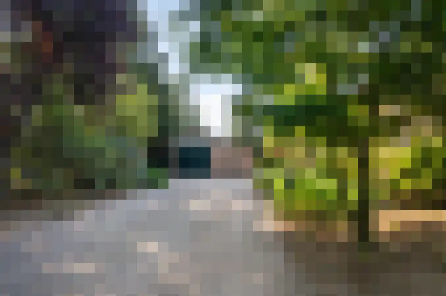 Knoevenoordstraat 83 Hall thumbnail 45