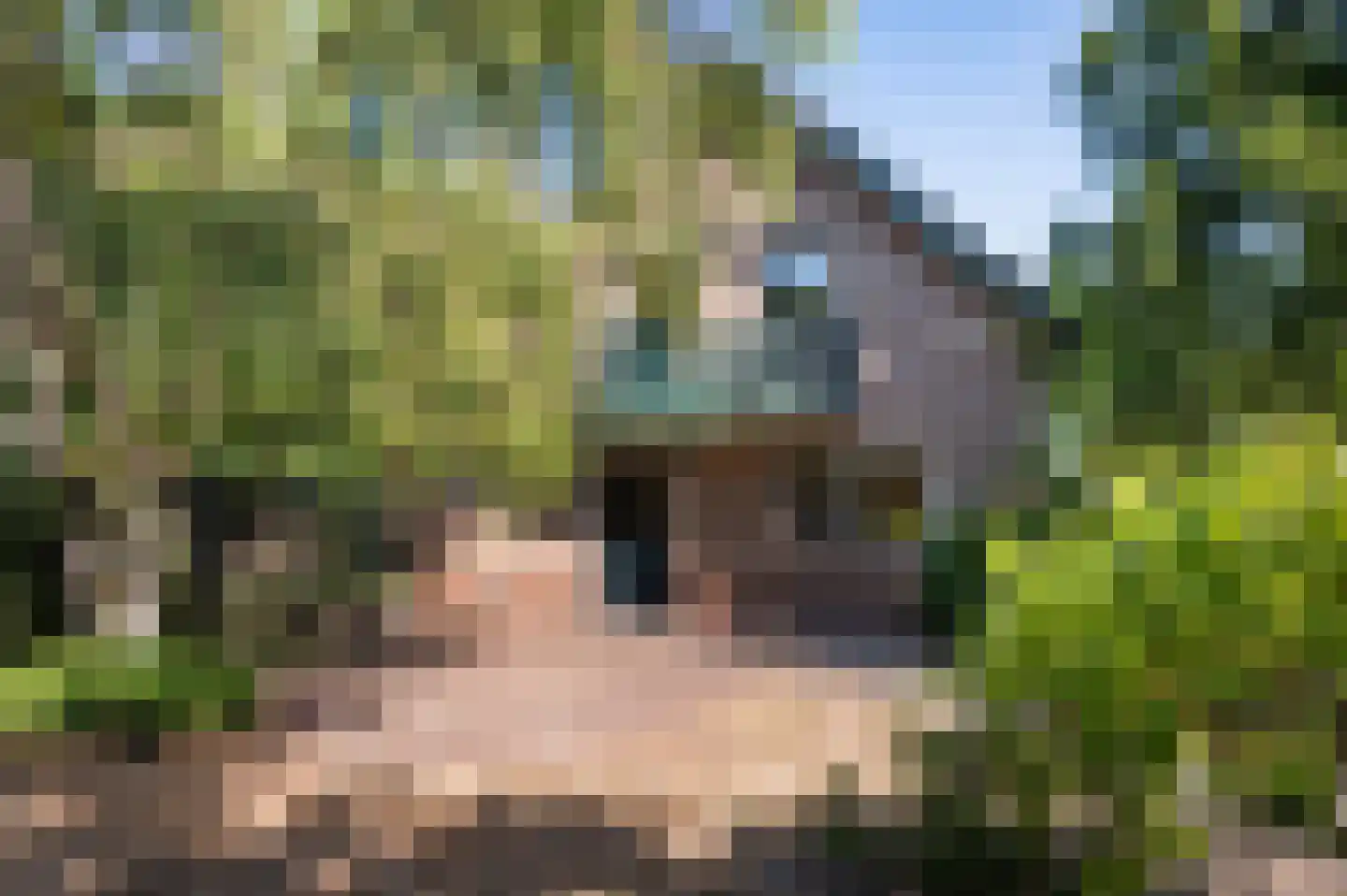 Knoevenoordstraat 83 Hall thumbnail 7