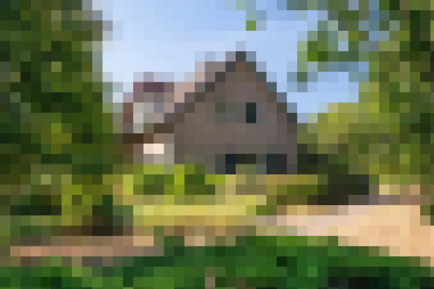 Knoevenoordstraat 83 Hall thumbnail 8