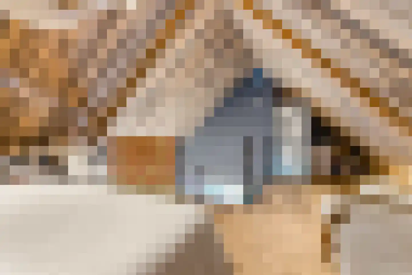 Knokerdweg 10 A Uden thumbnail 70