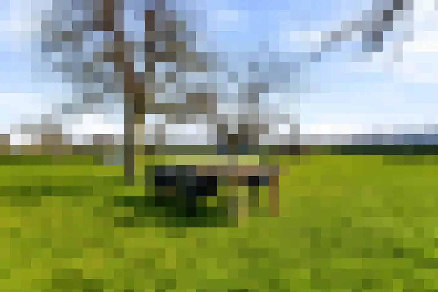 Knokerdweg 10 A Uden thumbnail 77