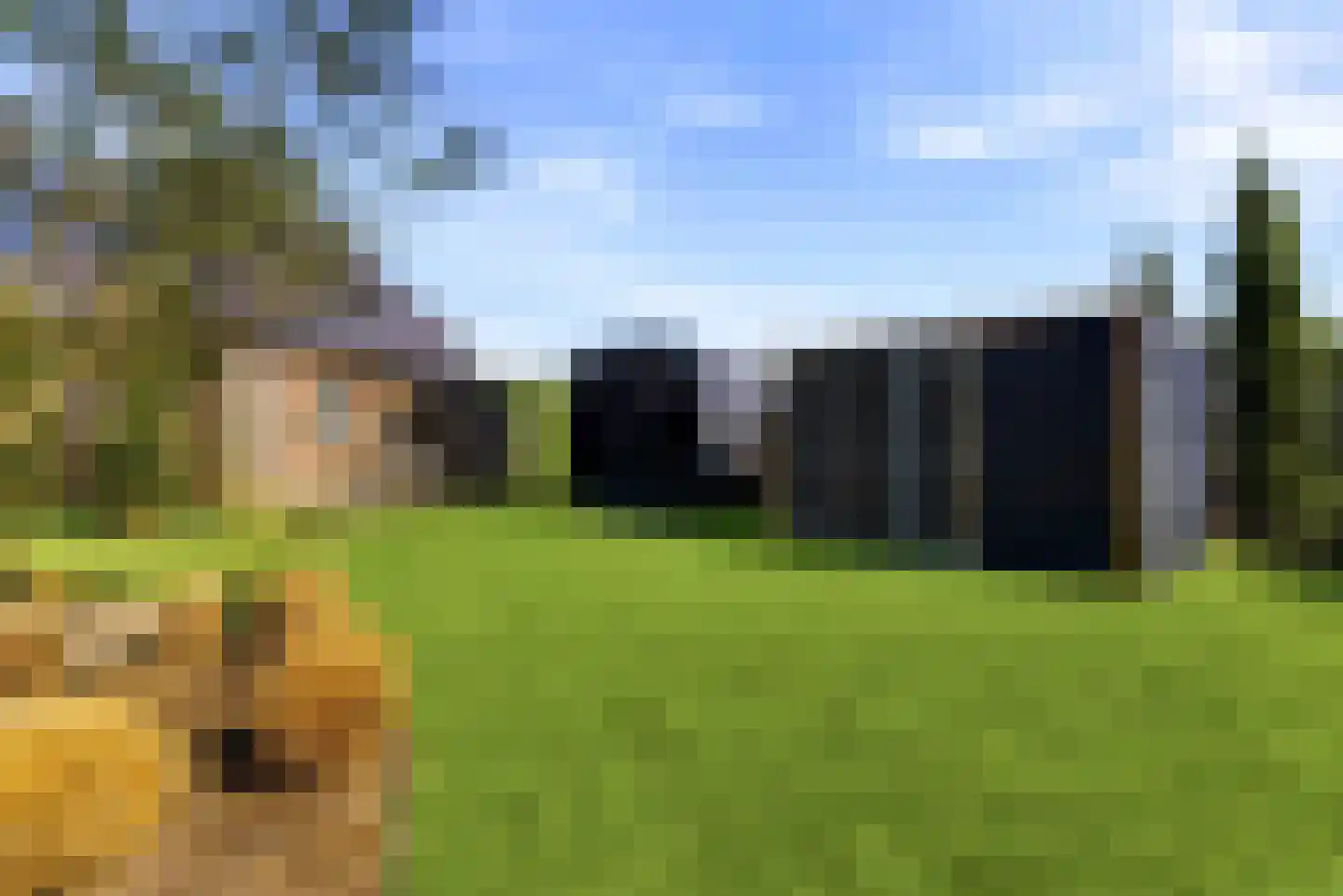 Knokerdweg 10 A Uden thumbnail 79