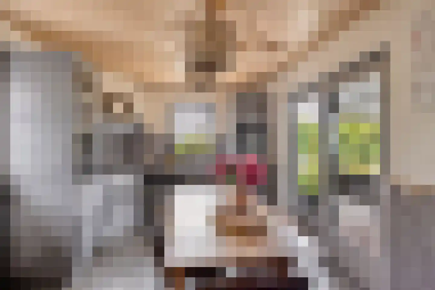 Knokerdweg 12 Uden thumbnail 10