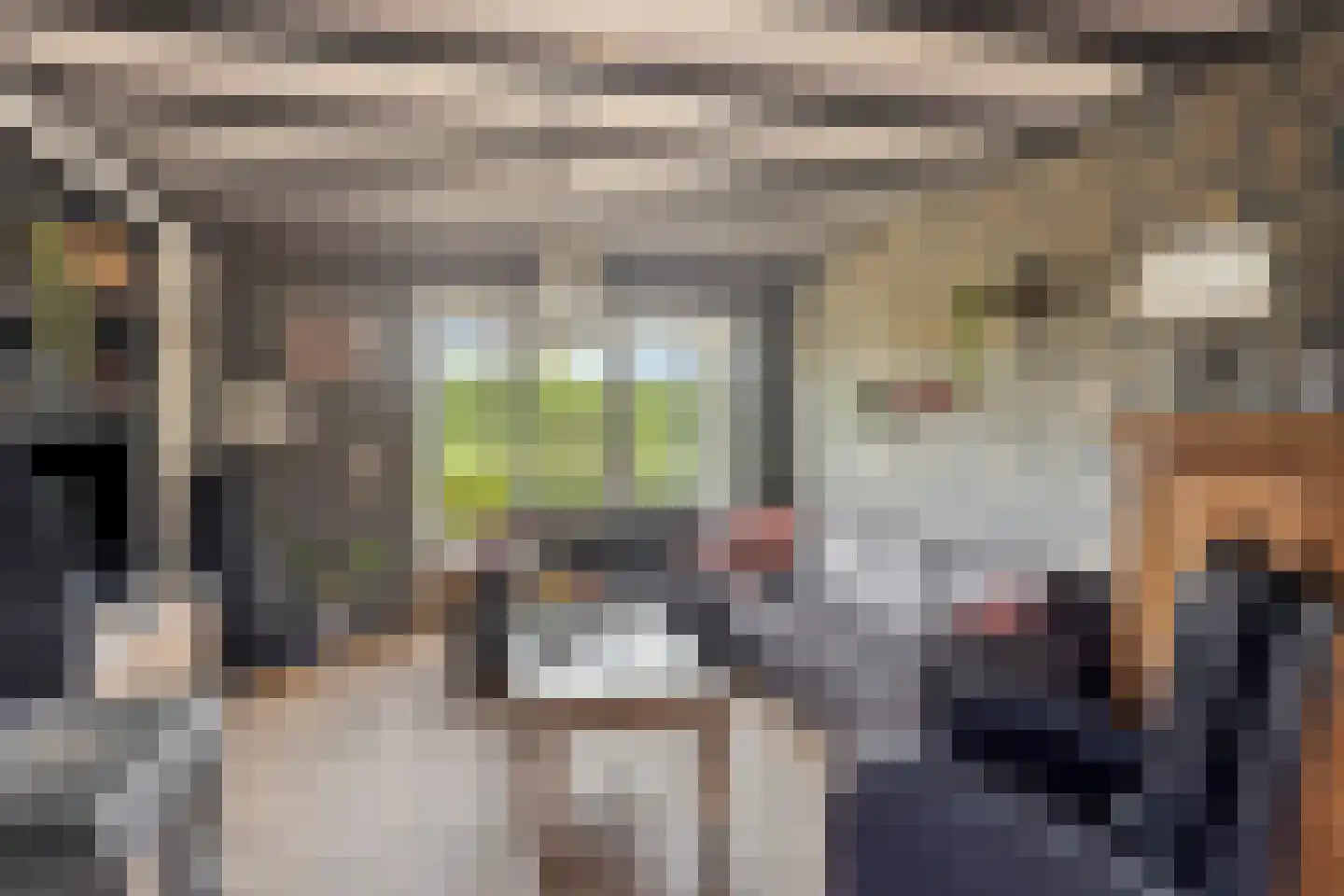Knokerdweg 12 Uden thumbnail 15