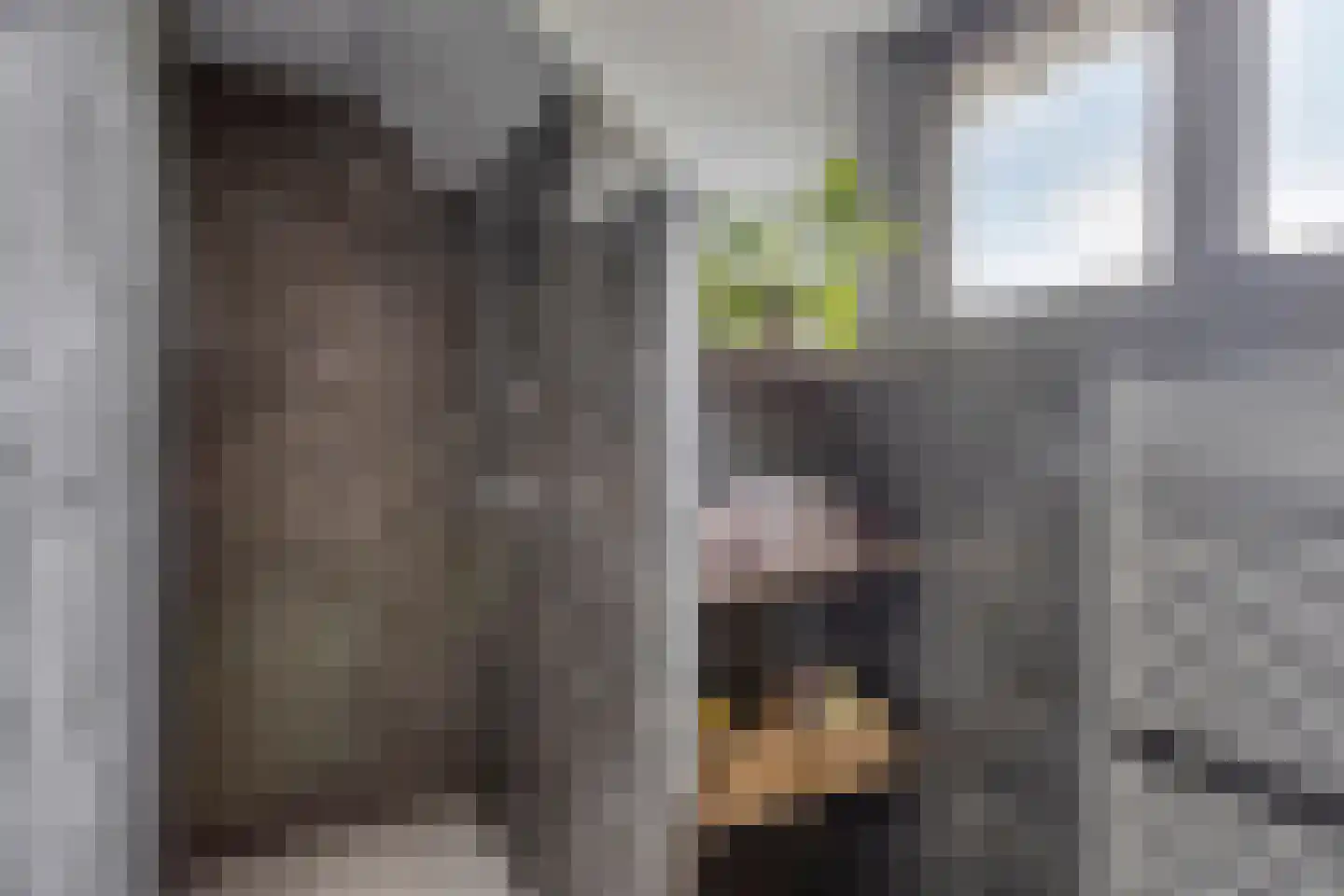 Knokerdweg 12 Uden thumbnail 37
