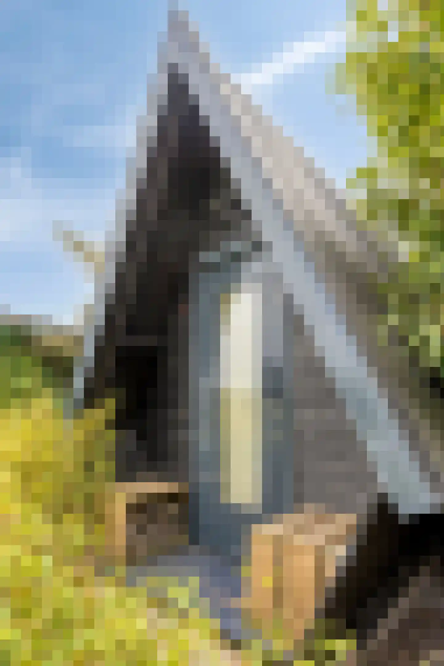 Knokerdweg 12 Uden thumbnail 48