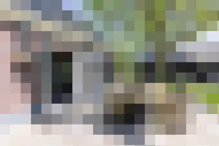 Knokkel 42 Andijk thumbnail 11