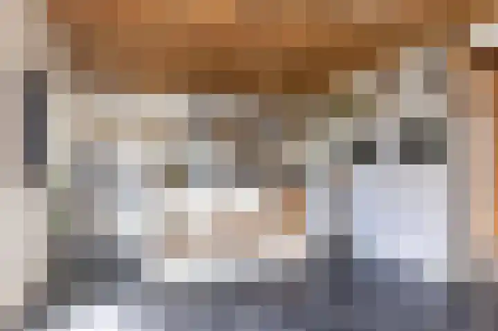 Knokkel 42 Andijk thumbnail 12