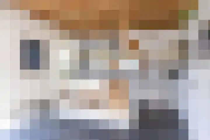 Knokkel 42 Andijk thumbnail 13