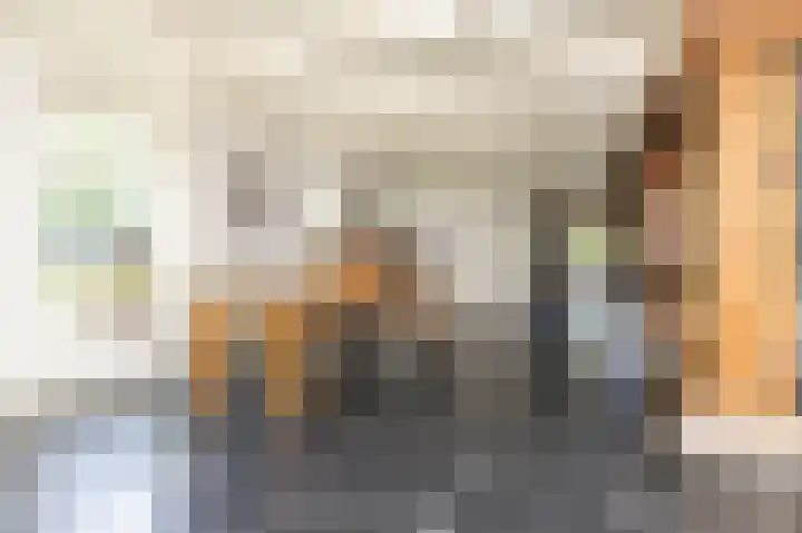 Knokkel 42 Andijk thumbnail 19