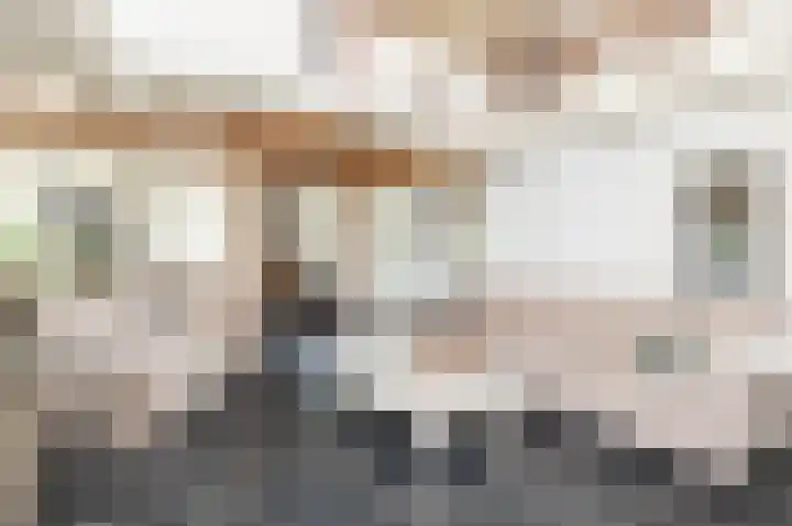 Knokkel 42 Andijk thumbnail 22