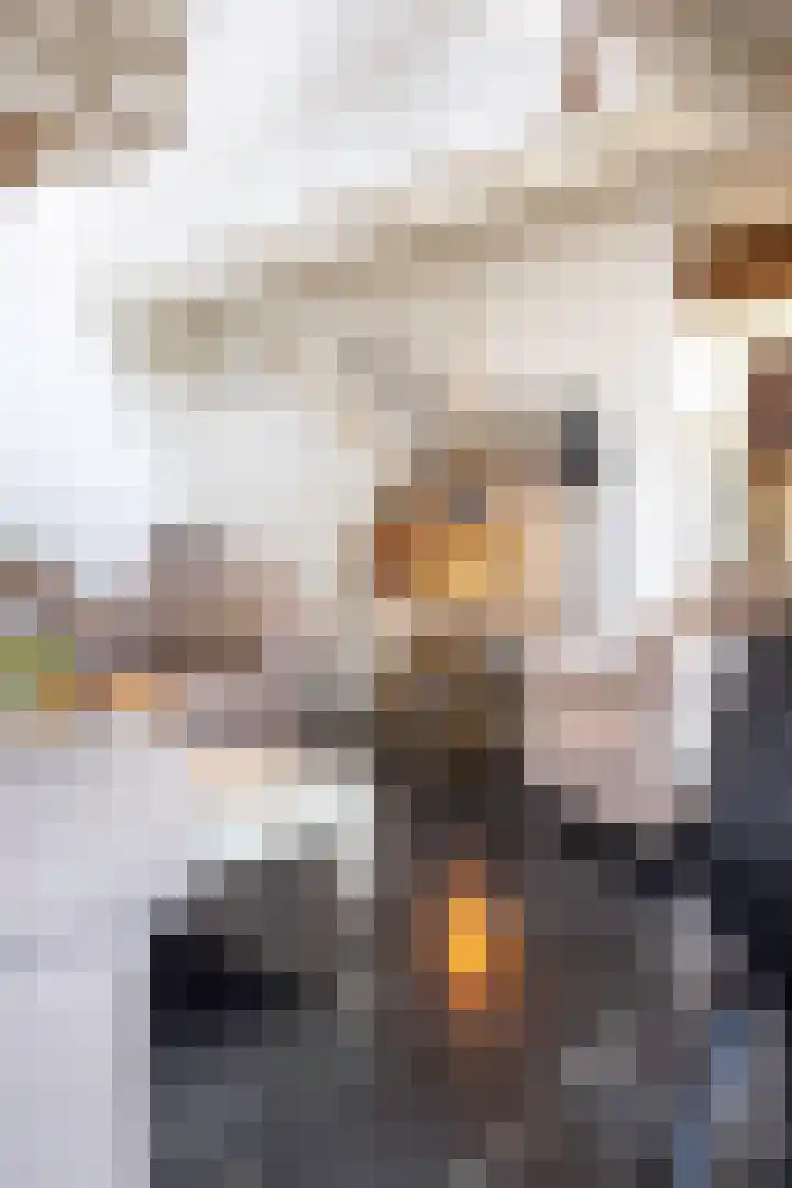 Knokkel 42 Andijk thumbnail 23