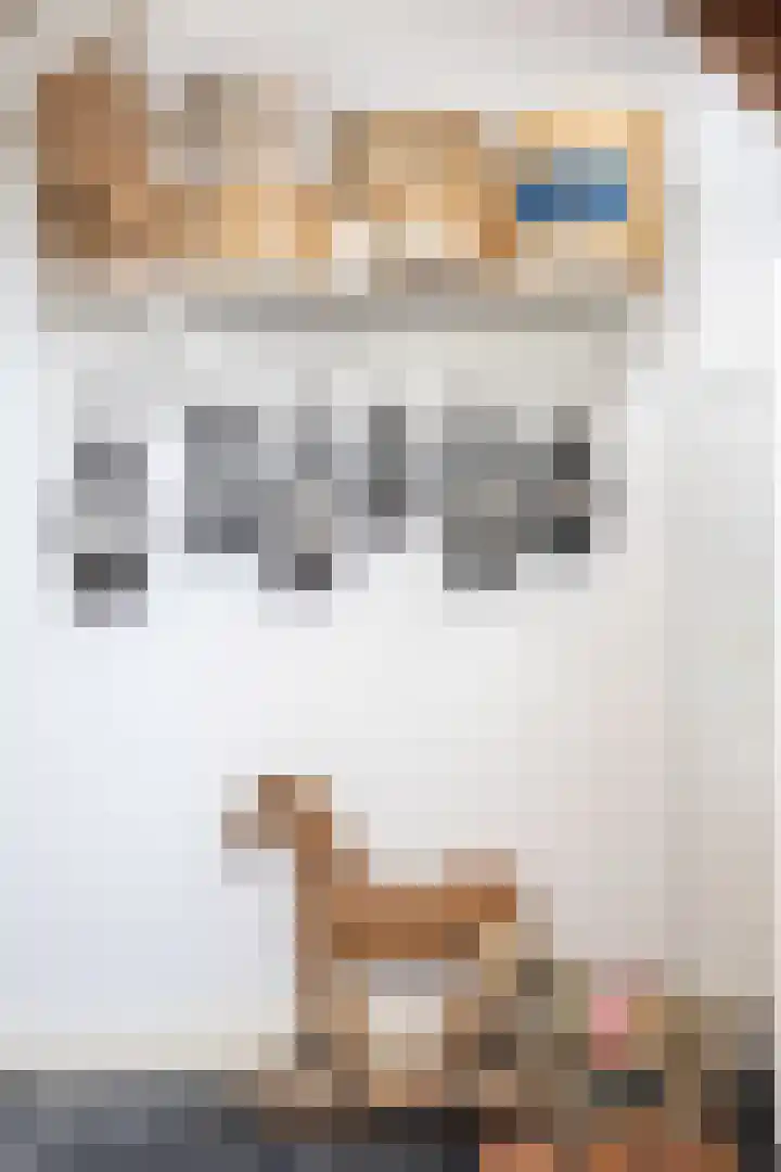 Knokkel 42 Andijk thumbnail 28