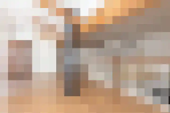 Knokkel 42 Andijk thumbnail 33