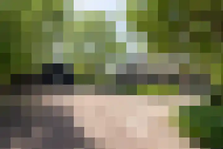 Knokkel 42 Andijk thumbnail 4