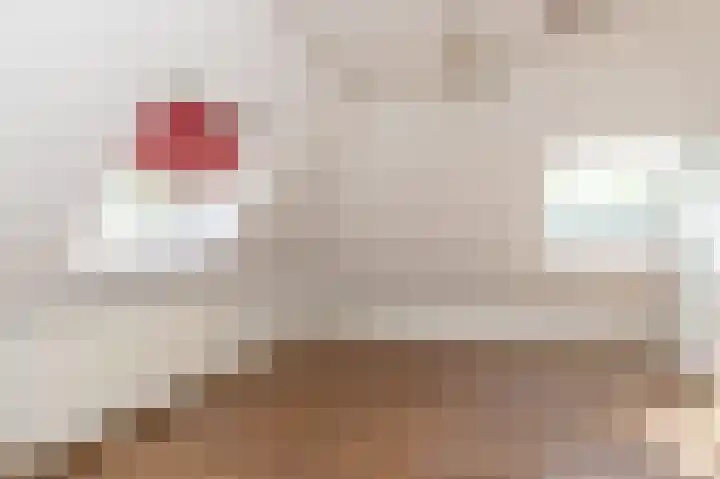 Knokkel 42 Andijk thumbnail 43