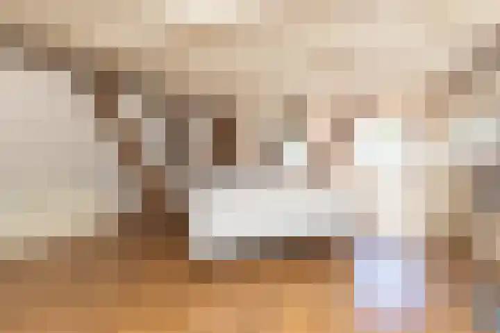 Knokkel 42 Andijk thumbnail 45