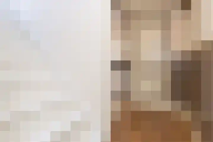 Knokkel 42 Andijk thumbnail 47