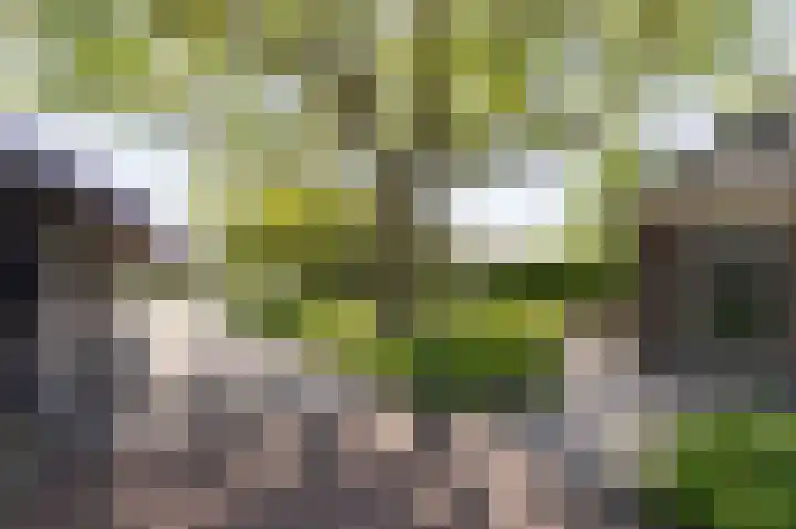 Knokkel 42 Andijk thumbnail 5